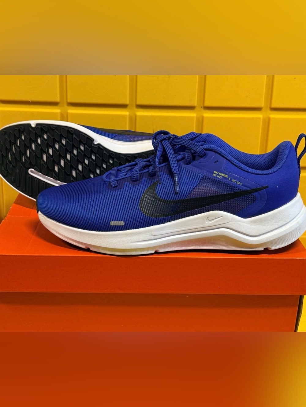 Nike Air Zoom Pegasus 37 Women’s 8.5